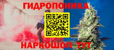 гидра Долгопрудный