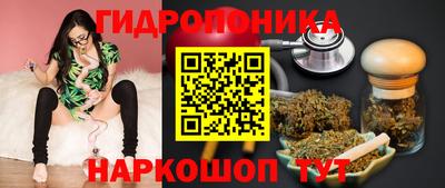шишки Гулькевичи